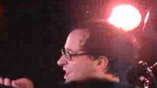 &quot;Cattle &amp; The Creeping Things&quot; The Hold Steady @ Stone Pony