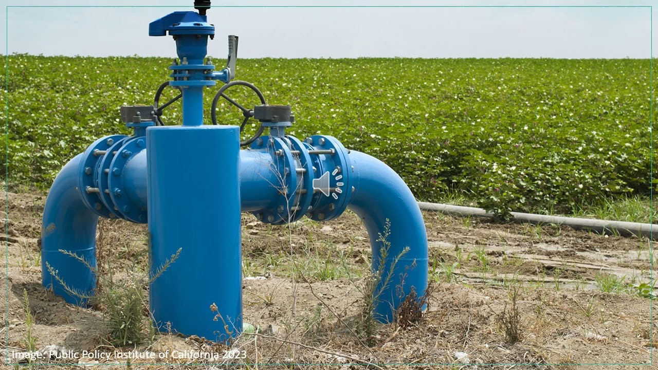 Sacha-Renée Todd - The AI Oasis: A Technological Blueprint  to Combat Water Scarcity and Stress