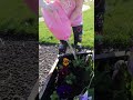 WATERiNG PLANTS with PiG SNOT!! Adley & Dad planting FLOWERS! Gardening Fun 🐷🌷