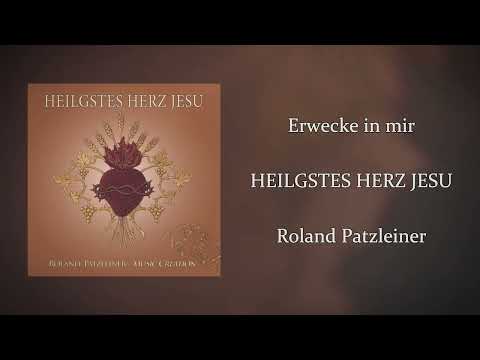 Roland Patzleiner - Erwecke in mir (Offizieller Audio)