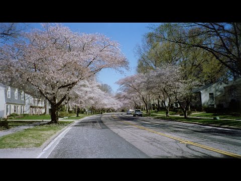 Crofton Downs to Petone