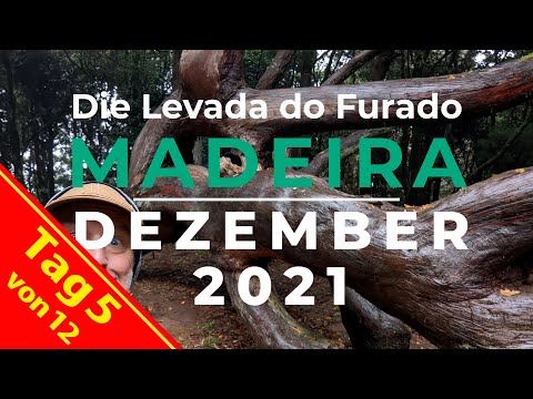 Madeira Reise 2021 - Tag 5 - Wanderung Levada do Furado