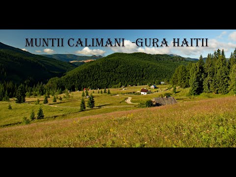 Satul Gura Haitii🌻🌲🌞🌳🦅🦋