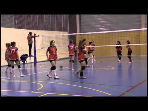 Navarvoley VS CD Ibararte 010314