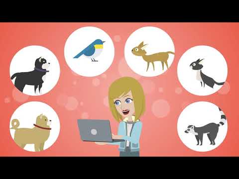 Breedify: Animal Breeding App