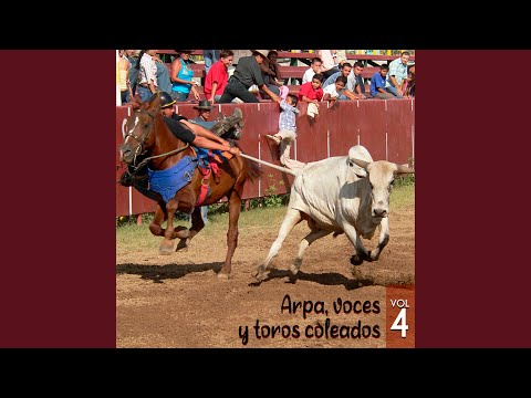 Dos Campeones Dos Edades