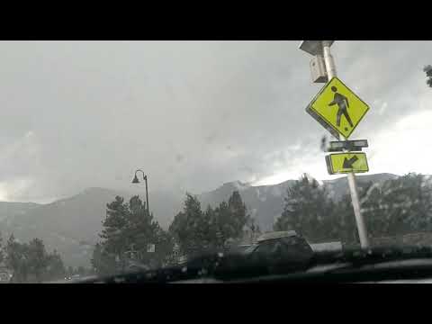 Back Alley Kat - Blasé