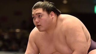 【令和７年春場所予想番付】