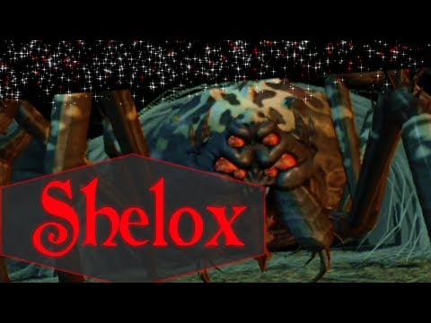 Defeating Shelox the Spider - Champions of Norrath