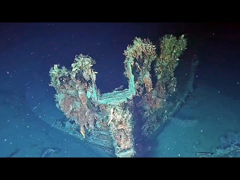 Avanza recuperación del galeón San José con extracción de cinco piezas históricas