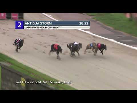 2021 LADBROKES GOLD CUP - HEAT 1 - T2 ANTIGUA STORM