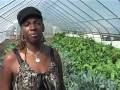 Growing Home: Stories from the Green Collar Economy