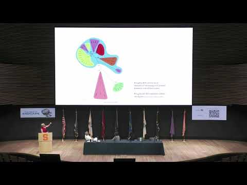 Deciphering the signal in the noise for DENV immunity through long-term cohorts