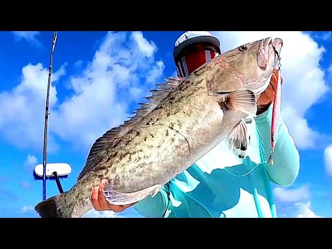 Epic Gag Grouper Slow Pitch Jigging Showdown! (Limited Out!)