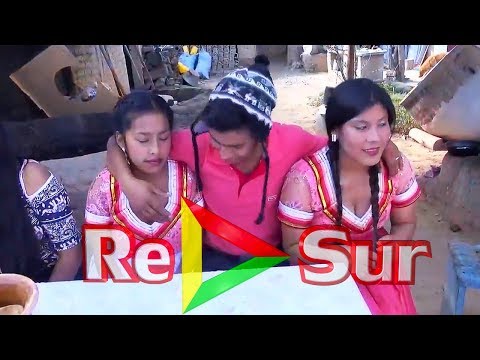 Los Felidos ▷ Llokalla wistu vida (Primicia 2018) RePlaySur© OFICIAL✓