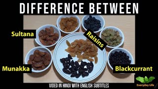 Raisins | Munakka | Sultana | Blackcurrant | Types of Raisins | किशमिश के प्रकार | Everyday Life #61