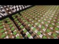 Minecraft Note Blocks: Winter Wrap Up - Daniel ...