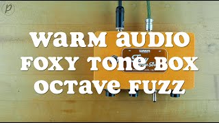 Video thumbnail for Warm Audio Foxy Tone Box Octave Fuzz by Pedal of the Day