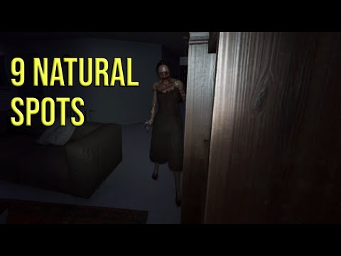 9 natürliche Verstecke in Tanglewood