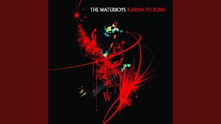 Fisherman&#39;s Blues - Album Version