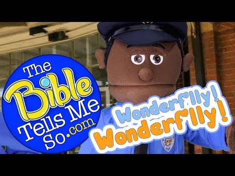 Wonderflly Wonderflly