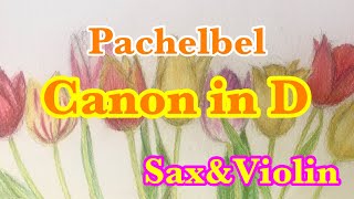 Download lagu 【1人sax&violinアンサンブル】カノン 二長調 Canon in D / パッヘルベル Pachelbel mp3
