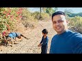 Sheru Ko Pahadi Pe Ghoomne Laye Traveller Suri Is Live