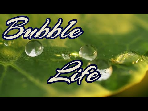 Bubble Life