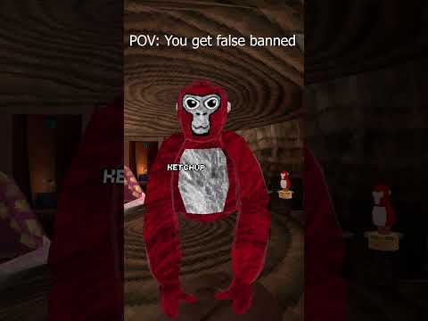 POV: false banned #gorillatag #vr #banned