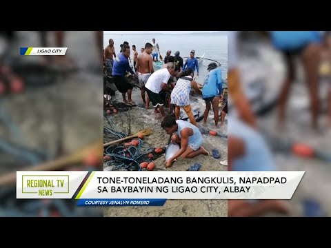 Regional TV News: Tone-toneladang Bangkulis, napadpad sa baybayin ng Ligao City, Albay