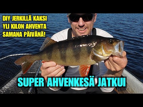 AHVENEN JERKKIKALASTUSTA - Ensimmäiset testit DIY Baby Erkillä ja kilosia nousi! (Heittokalastusta)