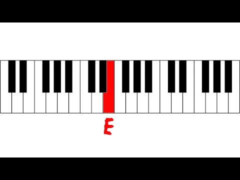 Note Quiz - Level 1 #1