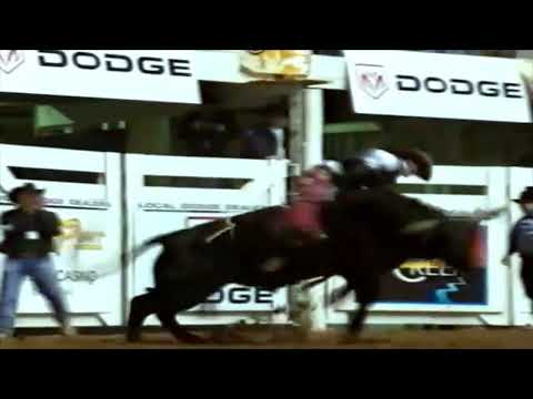 Auger bucks Travis Sellers - 08 CBR Fort Worth