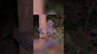 Download lagu THE APPARENCE OF WHICH IS SAYED TO BE THE 'TUYUL KING'😱 #trending #shorts #creepy #mystery #ghost... mp3 Download lagu THE APPARENCE OF WHICH IS SAYED TO BE THE 'TUYUL KING'😱 #trending #shorts #creepy #mystery #ghost... mp3