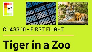 A Tiger in the Zoo poem | Class 10 First Flight Poem 3 | Explanation and Literary devices | CBSE