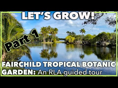 FAIRCHILD TROPICAL BOTANIC GARDEN: Landscape Architect guided tour- Part 1