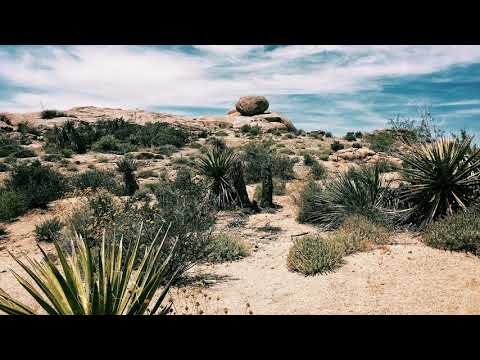 Jose Tabarez: Agave (Original Mix)