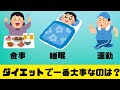 ダイエットで大事な要素は?食事?運動?睡眠?