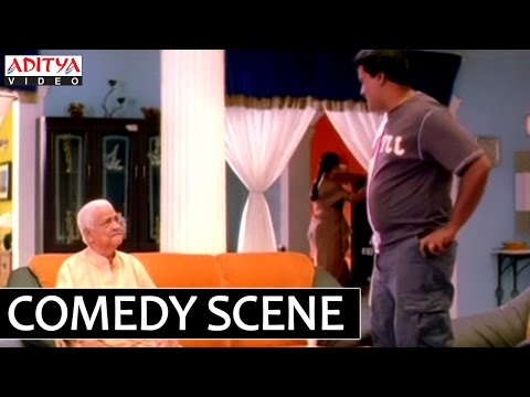Ravi Taj & Sunil Hilarious Comedy Scene | Bhadra Telugu Movie Scenes | Meera Jasmine | Aditya Movies