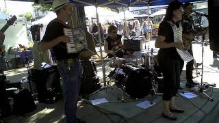 Cottonfields - Mojo Zydeco