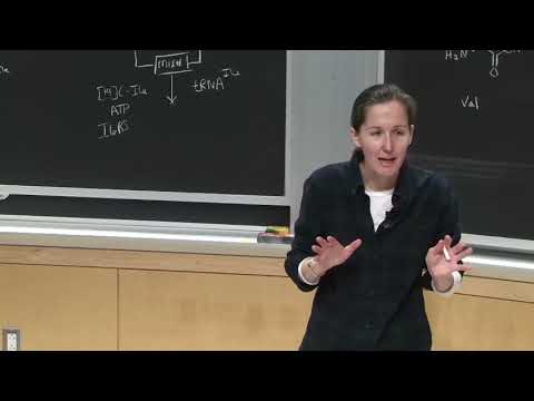 4. Protein Synthesis 3