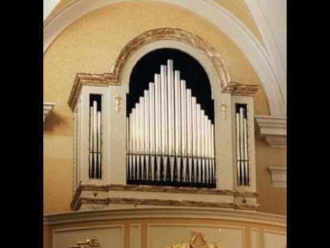 Andrizzi Matteo (XVIII sec.) Tre versetti in sol. Organista: Sandro Carnelos.