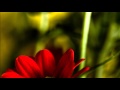Tamia - Whispers