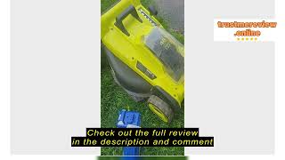 Snow Joe CERTIFIED AUTHENTIC 24VBAT EcoSharp Pro Lithium-Ion Battery 24VBAT Review