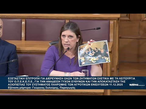 Κατάθεση Γιώργου Ξυλούρη (ΦΡΑΠΕ) στην εξεταστική επιτροπή και στη Ζωή Κωνσταντοπούλου