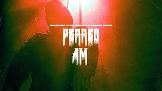 Perreo Am Lyrics English Translation