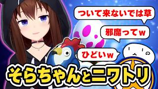 そらちゃんと空飛ぶニワトリ　#ときのそら #ホロライブ