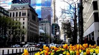 The Catherine Wheel - Salt