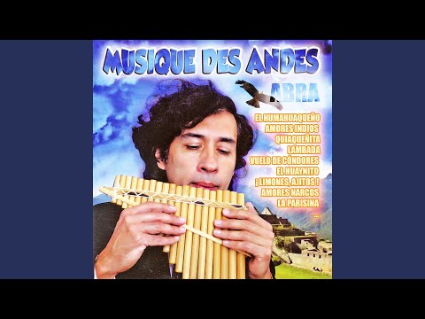 download lagu mp3 mp4 Abra Amores Narcos Cumbia, download mp3 Abra Amores Narcos Cumbia free download mp3, download mp3 Abra Amores Narcos Cumbia