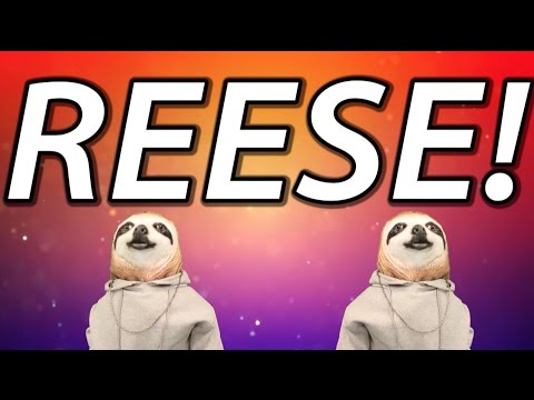 HAPPY BIRTHDAY REESE! - SLOTH HAPPY BIRTHDAY RAP